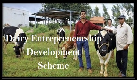 Dairy Entrepreneurship Development Scheme DEDS Apply Loan