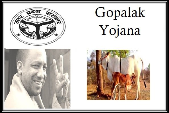 Gopalak Yojana Loan Apply in Uttar Pradesh