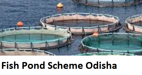 Fish Pond Scheme Odisha 