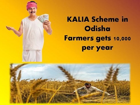 kalia-scheme-odisha