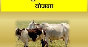 Haryana Pashu Kisan Credit Card Scheme