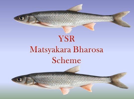 YSR Matsyakara Bharosa Scheme In AP