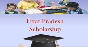 Uttar Pradesh Scholarship Status