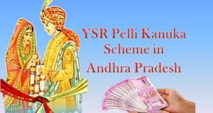 YSR-Pelli-Kanuka-Scheme-in-Andhra-Pradesh