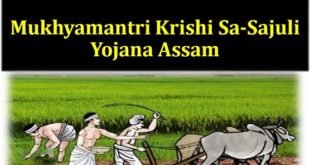 Mukhyamantri Krishi Sa-Sajuli Yojana in Assam