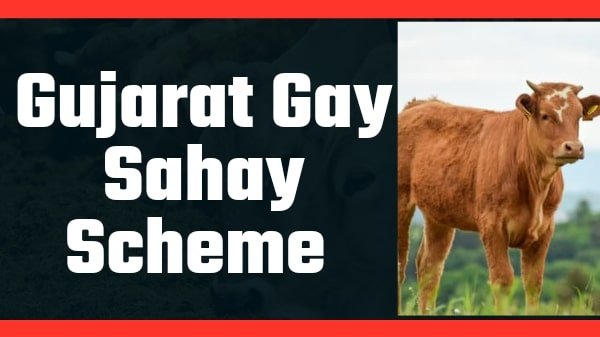 Gay Sahay Scheme Gujarat